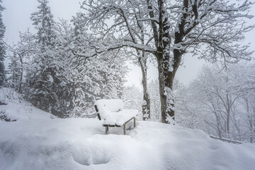 bench cover by snow in winter - 673062007
