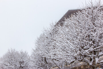 snow scene in murren switzerland during witnter - 673062641