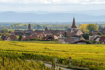 Jolie village alsacien au milieu des vignes