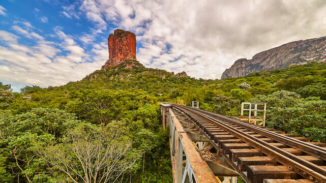 The tooth of devil - Chochis Bolivia