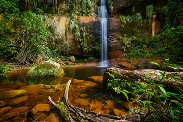 waterfall in the paradise, Amboro national park, Bolivia - 673075009