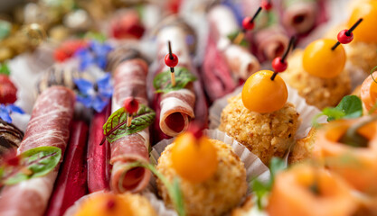 Catering service. Set of beautiful canapes. Buffet table. Shallow depth of view.