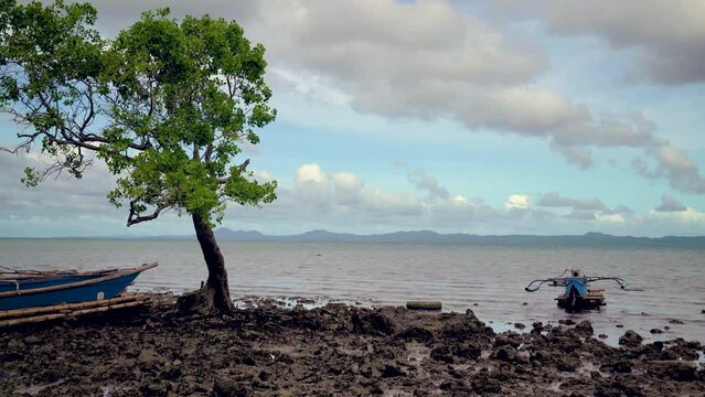 Tree dand a boat at the mudy shore of the coatstal village in the Philippines