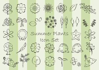 夏の植物のアイコンセット　線画