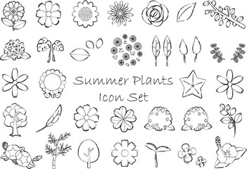 夏の植物のアイコンセット　線画・透過白背景