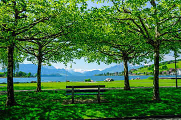 A bench nestled under green trees offers a view of Lake Lucerne and the Swiss Alps, creating a symbol of serenity, contemplation, and the beauty of nature's embrace. Summer time in Switzerland.