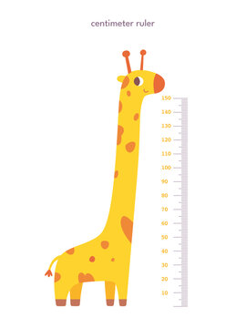Kids height ruler in centimeters with giraffe for growth measure. Cute cartoon cheerful tall animal vector illustration isolated on white background. Children wall sticker for kindergarten or home