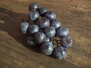 a close-up photo of a bunch of grapes