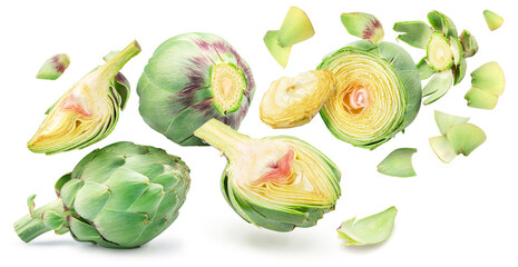 Green french artichoke and artichoke slices flying or levitating in the air on white background.