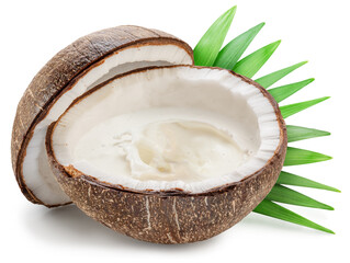 Coconut milk splash spraying from cracked coconut fruit. File contains clipping path.