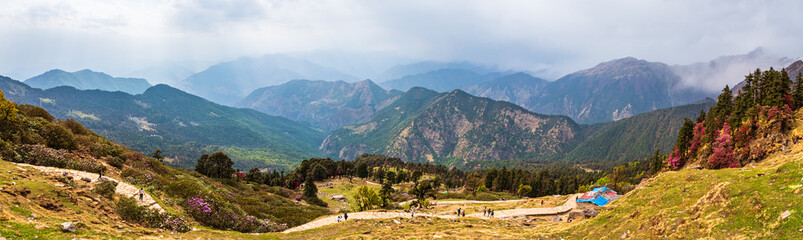 View enroute to Tungnath-Chandrashila hiking trail during spring season in Chopta, Uttarakhand, India.