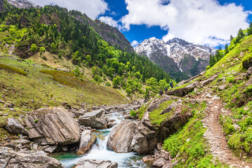 Rupin Pass is a high altitude trek in Himachal Pradesh located at 4650m.Trek is full of diversity...