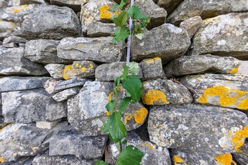 Close-up of a natural stone wall