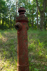 Zabytkowy hydrant w lesie