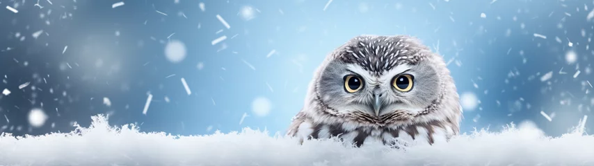 Foto op Canvas Banner with cute baby owl on isolated winter background. Postcard with copy space. Generative AI © Катерина Нагірна