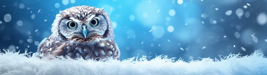Gordijnen Banner with cute baby owl on isolated winter background. Postcard with copy space. Generative AI © Катерина Нагірна