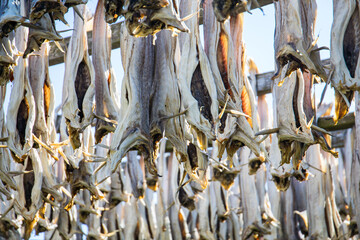 Stockfish from Norway