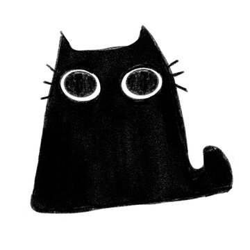 black and white cat