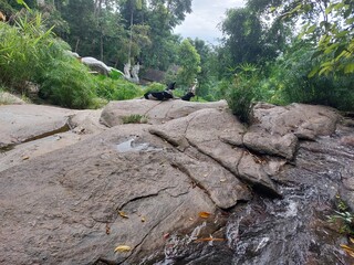 Monk Trail Chiang Mai