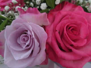 beautiful flowers of natural colors fragrant delicate gift