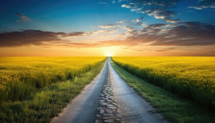 Fototapeta premium A straight dirt road leads through a beautiful field at sunset.