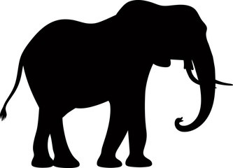 Isolated on white background, silhouette of an elephant