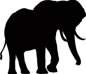 Isolated on white background, silhouette of an elephant