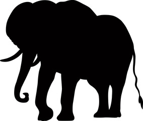 Isolated on white background, silhouette of an elephant