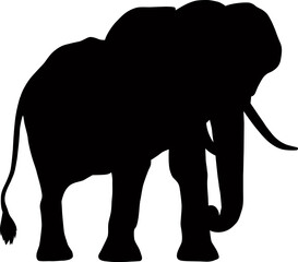 Isolated on white background, silhouette of an elephant