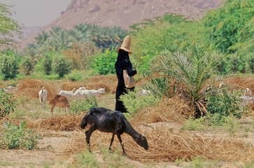 Madhalla worn by women