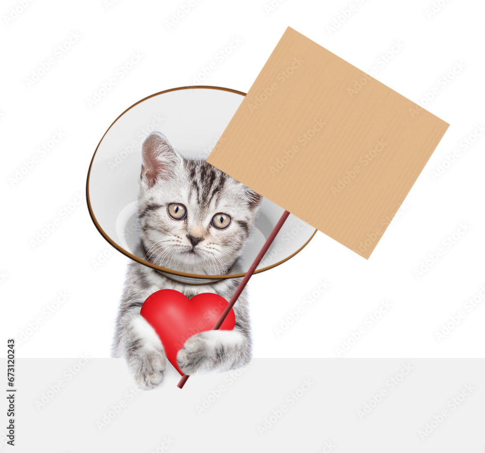 Poster cute tabby kitten wearing protective cone collar looking above empty white banner hoolding red heart