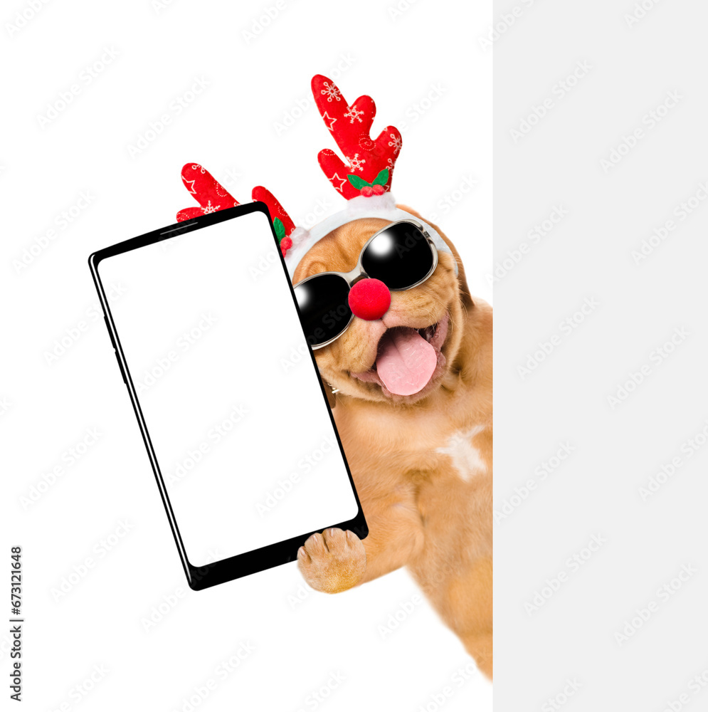 Aufkleber happy mastiff puppy dressed like santa claus reindeer rudolf holds big smartphone with empty screen 