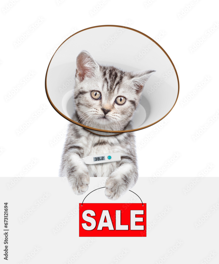 Poster cute tabby kitten wearing protective cone collar looking above empty white banner and holds thermome