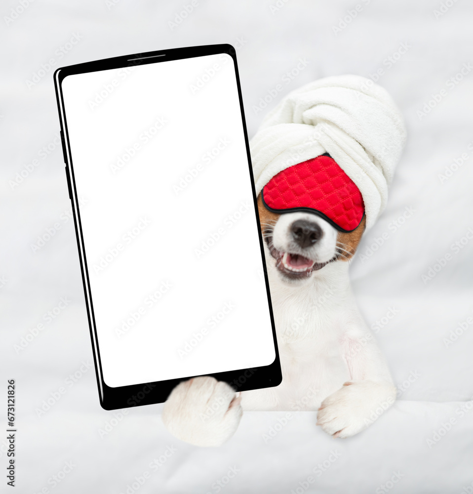 Poster Jack russell terrier puppy with towel on it head and with sleeping mask lying on a bed at home and showing big smartphone with white blank screen in it paw. Top down view