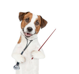 Smart jack russell terrier puppy with stethoscope on his neck pointing away. isolated on white background