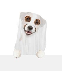 Jack russell terrier puppy celebrating halloween in ghost costume and looking above empty white banner. Isolated on white background