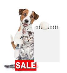 Smart jack russell terrier with stethoscope on his neck hugs tiny kitten and shows empty notebook. Cat shows ignboard with labeled "sale".  isolated on white background