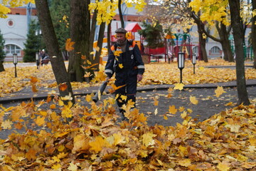  a gardener cleans fallen maple leaves with a garden vacuum cleaner in the park in autumn