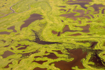 Coastal Tide Patterns