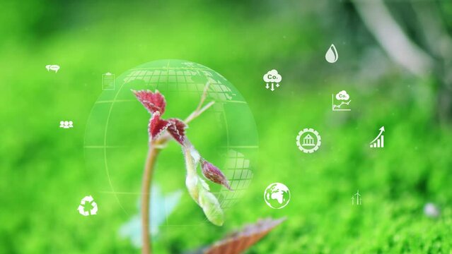 Net zero and carbon neutral concept. net zero greenhouse gas emissions target Climate neutral long term strategy on a green background.