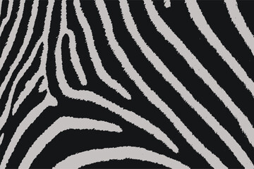 Zebra skin texture black white vector seamless pattern fabric textile design