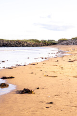 Beach Landscape View