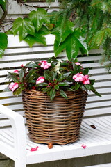 Ein letzter Rest vom Sommer