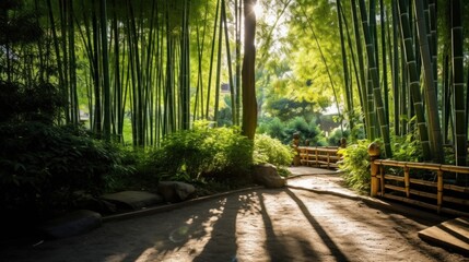 sun shining through bamboo plants in a japanese garden. nature, freedom, harmony. symbol of healthy lifestyle. 