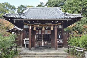 Fototapeta premium 親熊野神社の本殿