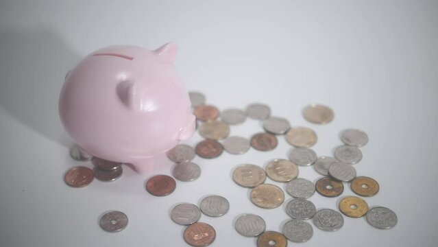 ブタの貯金箱にコインを貯める手