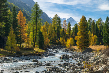 Herbst im Val Roseg, Ova da Roseg, Pontresina, Engadin, Kanton Graubünden, Schweiz,