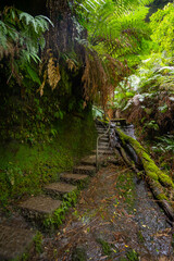 Photos from amazing walk in lovely grand canyon in Blue Moutains, Sydney, Australia.