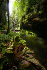 Photos from amazing walk in lovely grand canyon in Blue Moutains, Sydney, Australia.