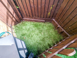 Property Artificial Grass